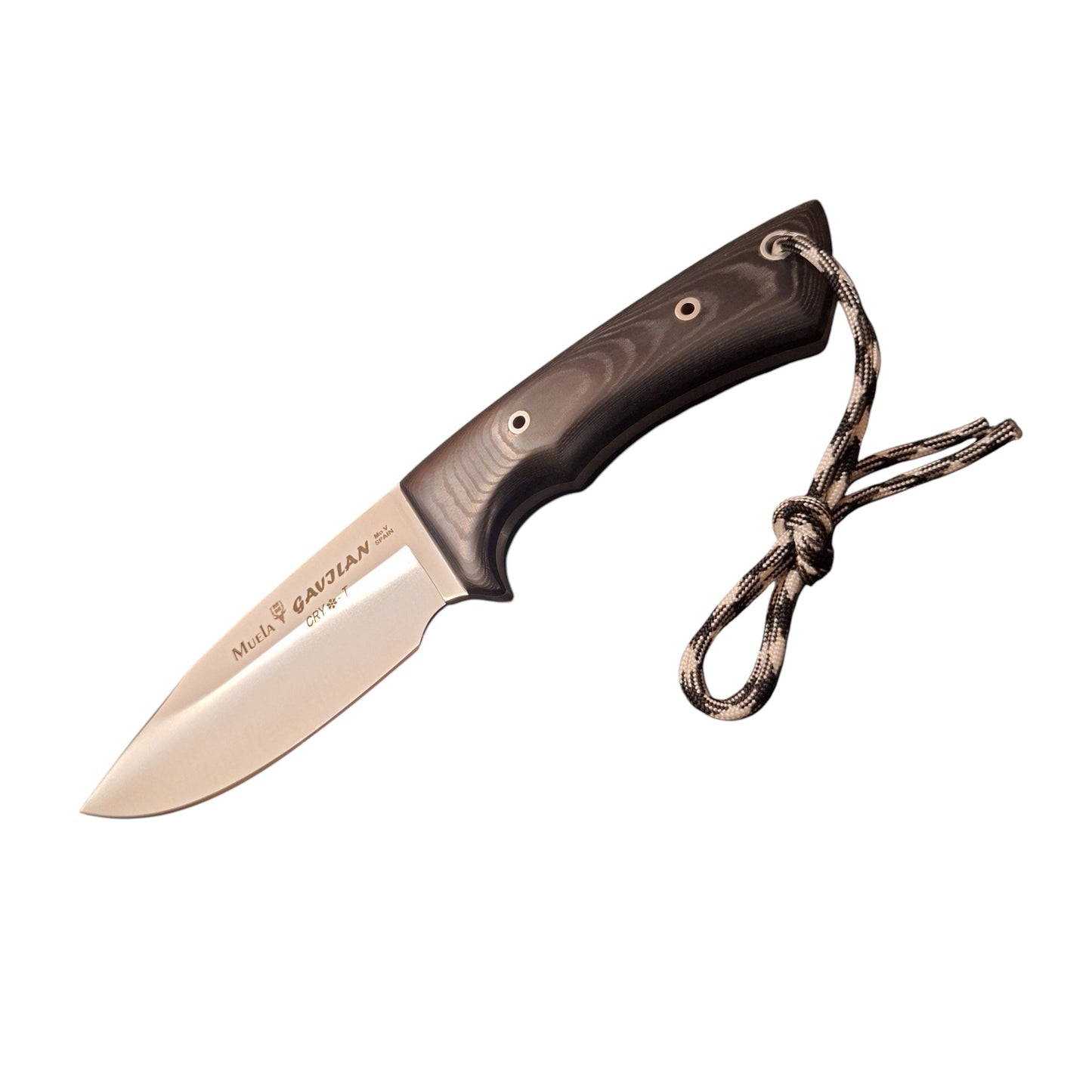 Muela GAVILAN MICARTA BLACK