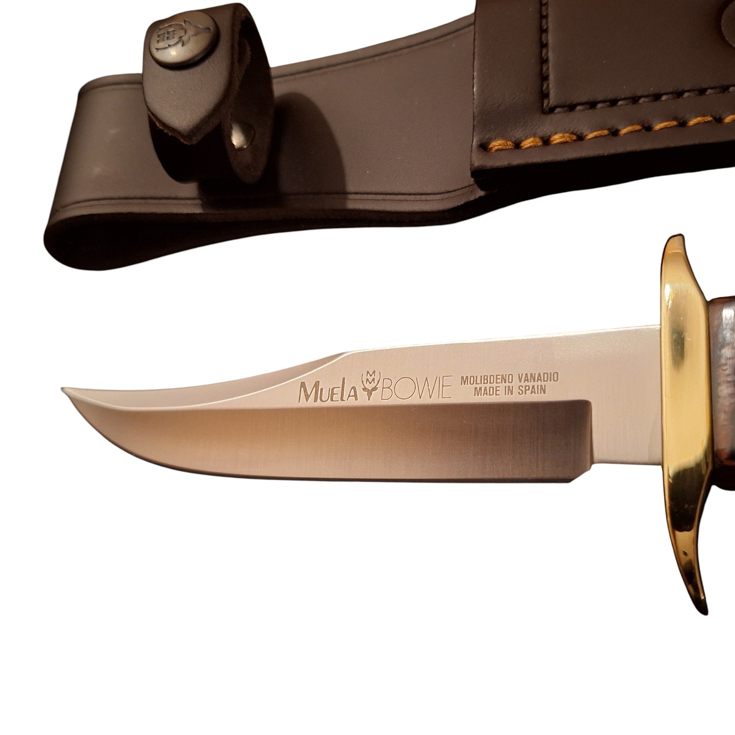 Muela BOWIE PAKKAWOOD BW-14