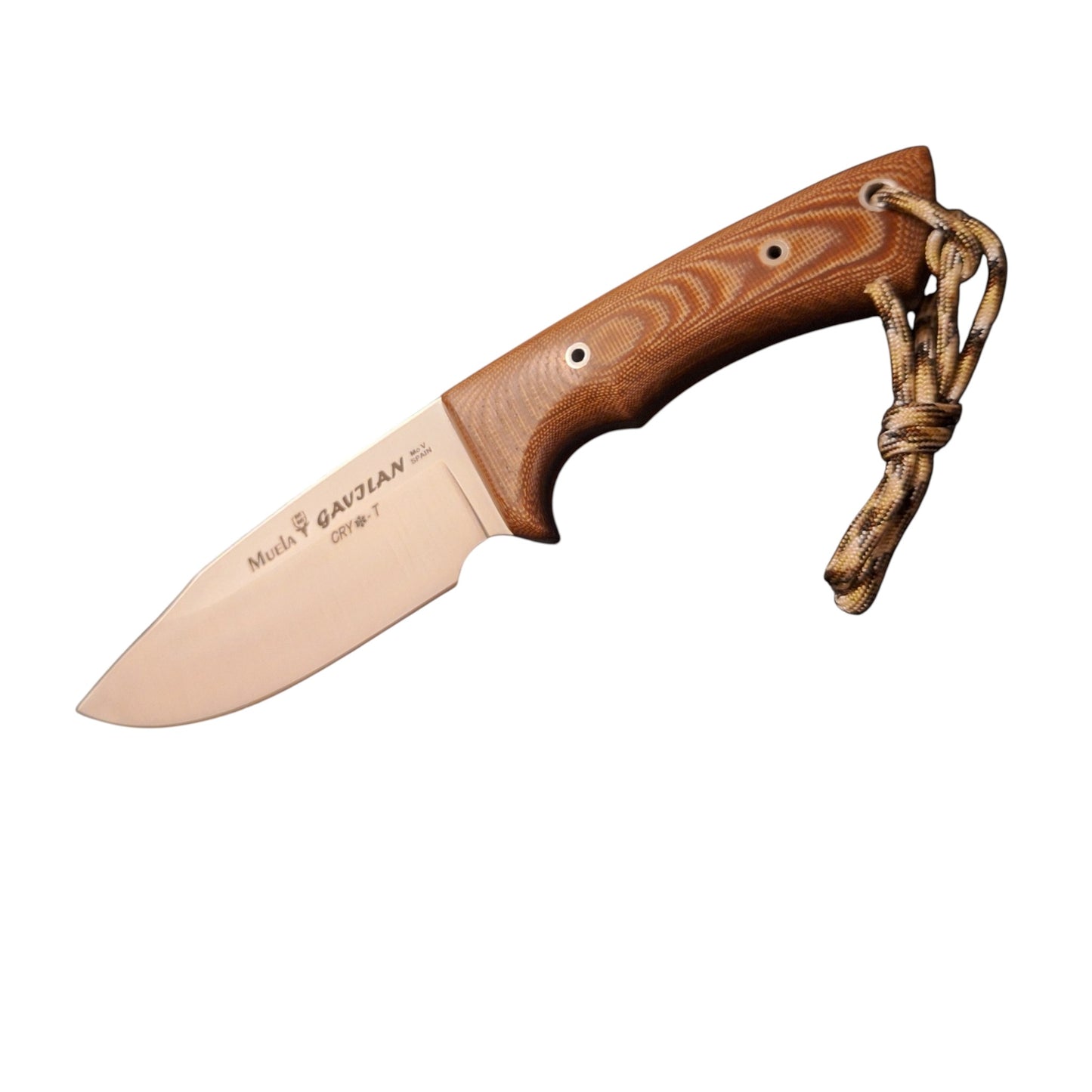 Muela GAVILAN MICARTA BROWN