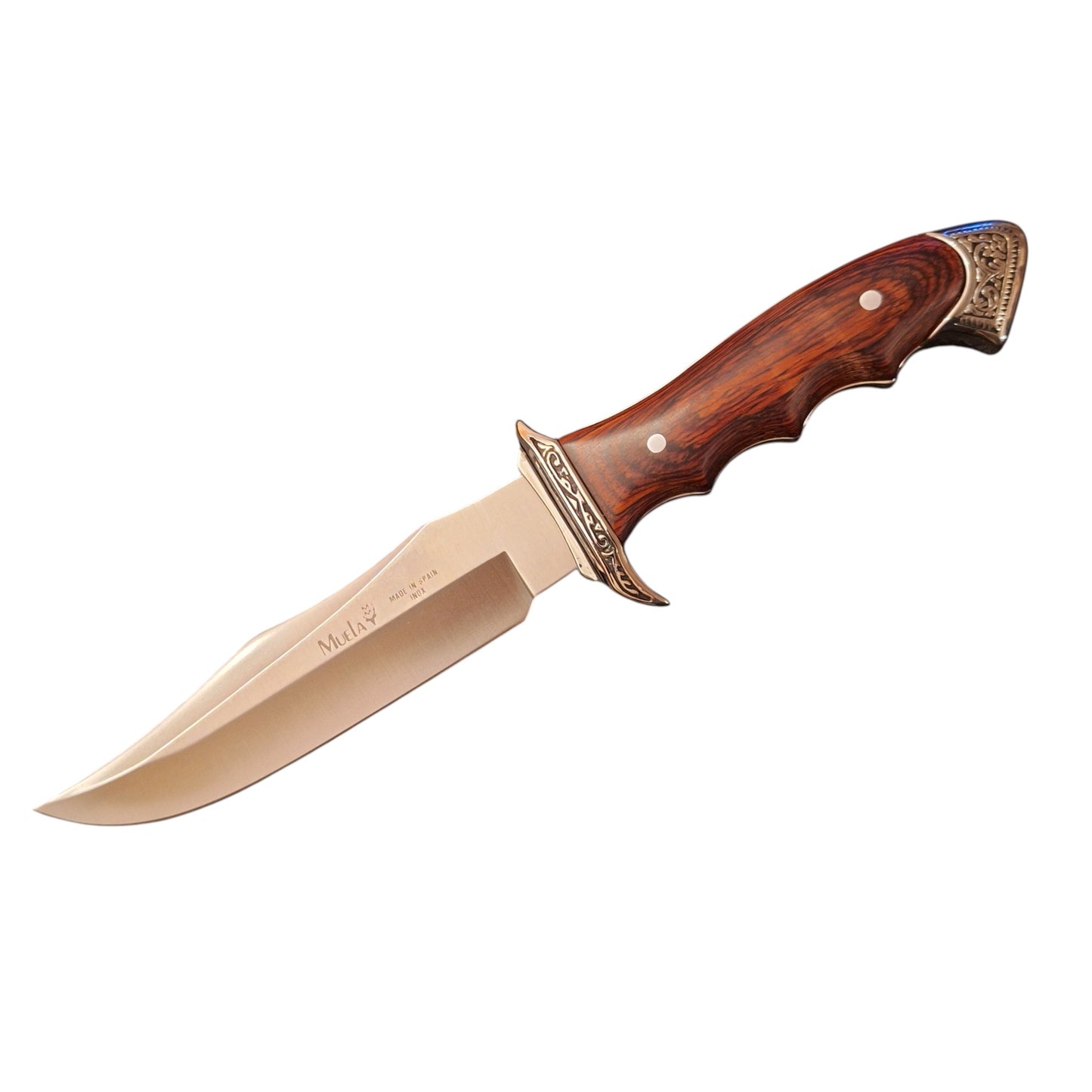 Muela BOWIE WOOD 21733