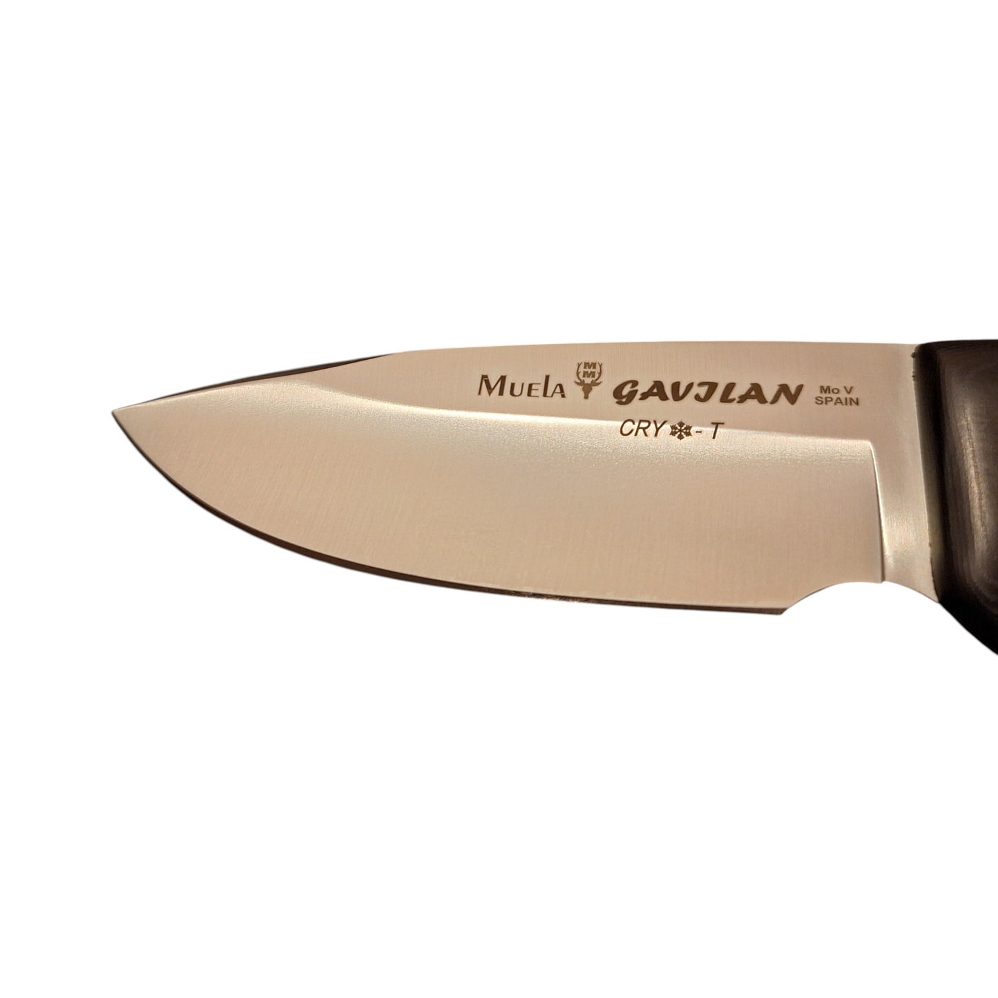 Muela GAVILAN MICARTA BLACK