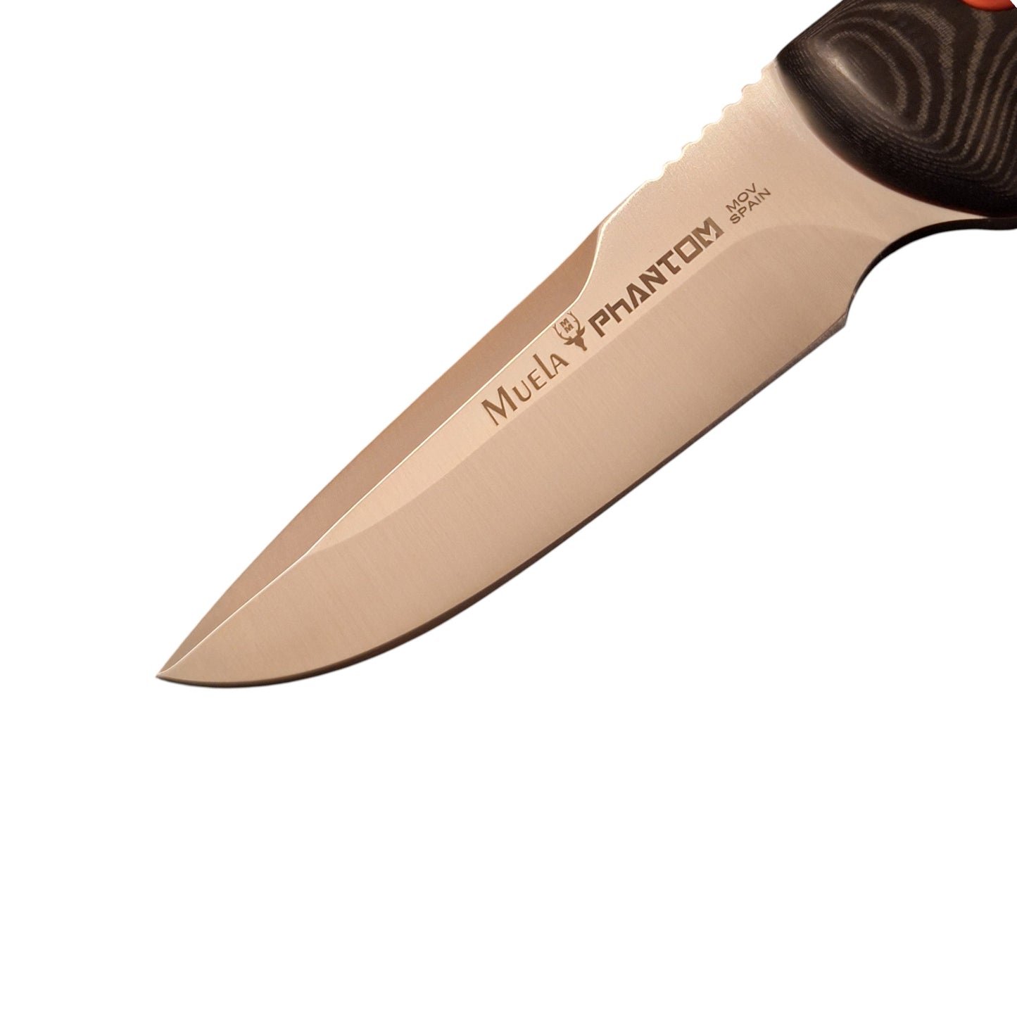 Muela PHANTOM 12W